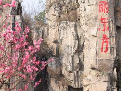 -秀丽东方