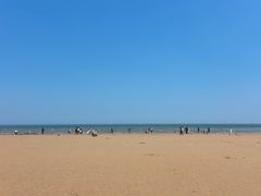 -日照海滨国家森林公园