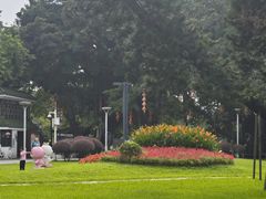 -荔湾湖公园