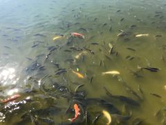 -建水文庙