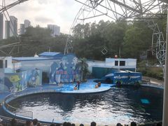 -深圳野生动物园