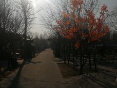 -1982农场