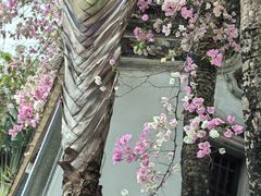 -深圳国际园林花卉博览园