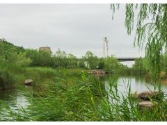 -小绿谷公园