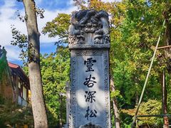 -灵谷景区