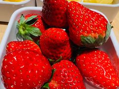 -北京海德酒店温泉