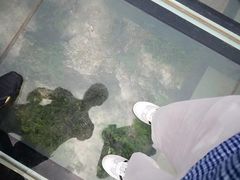 -皇藏峪国家森林公园