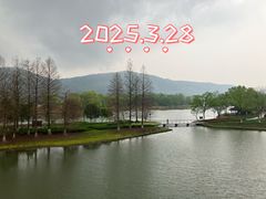 -长广溪湿地公园
