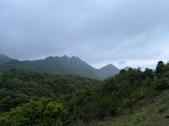 -天龙顶山地公园