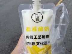 -德禄酸奶(莫家街店)