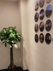 -盘子女人坊古装写真摄影(天津总店)