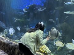 -华夏文旅海洋公园