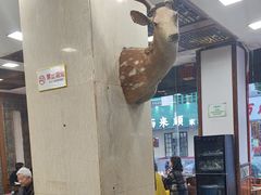 -乔家满族八大碗(流水沟店)