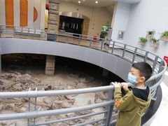 -自贡恐龙博物馆