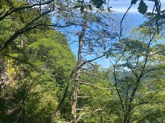 -西安祥峪森林公园