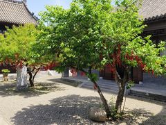 -花洲书院