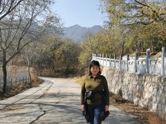 -阳台山自然风景区