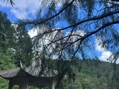 -四明山国家森林公园