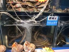 -77号渔船·蒸海鲜青岛菜(积米崖店)