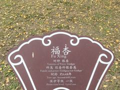 -苏州文庙(姑苏区)