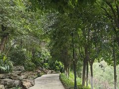 -龙头寺公园