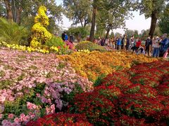 -国家植物园南园