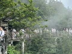 -张家界天门山国家森林公园