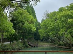 -东明山森林公园
