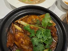 -新雅粤菜馆(南京东路店)