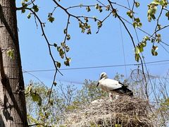 -哈尔滨北方森林动物园