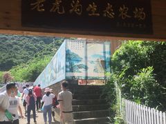 -老虎沟生态农场