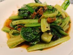 -新宝餐厅(流塘店)