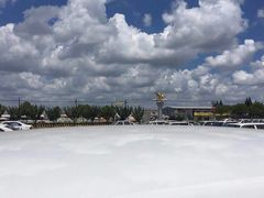 -胜华驾校·小猫学车(银都店)