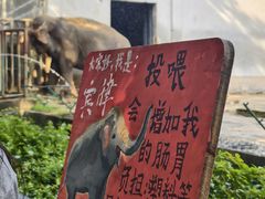 -合肥野生动物园