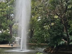 -九龙公园