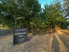 -汉长安城未央宫国家考古遗址公园