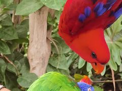 -南宫五洲植物乐园