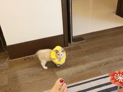 -广州从化都喜泰丽度假温泉酒店