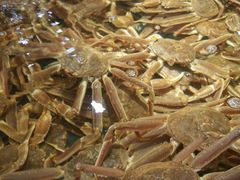 -徐记海鲜·宴会(大唐西市|丰庆店)