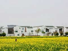 -东梓关景区村庄