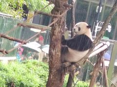 -黔灵山公园