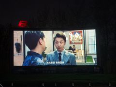 -枫花园汽车电影院(朝阳公园店)