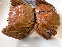 -苏城小院·园林精致苏州菜(斜塘老街店)