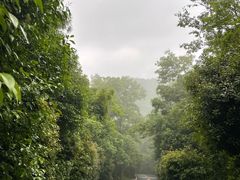 -南京老山国家森林公园