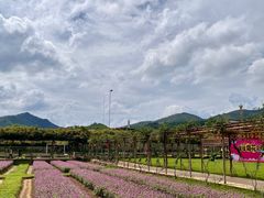 -盈香心动乐园