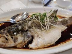 -东江海鲜酒家(艺都分店)
