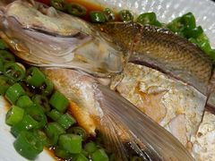 -新光酒家·河豚·海鲜·蟹料理(浦东店)