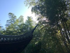 -游子山休闲旅游区