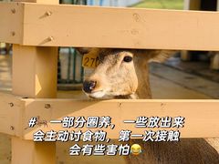 -盈香心动乐园