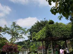 -东莞植物园
